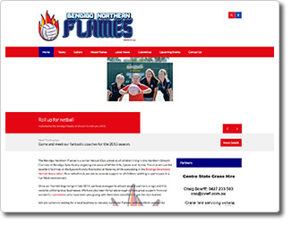 new website for Flames Junior Netball Club
