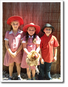 Epsom Primary School Chook Shed